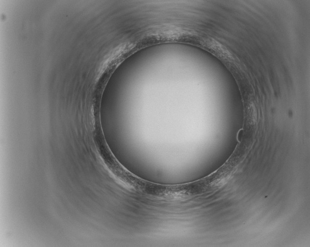 X0000069840638200606021402