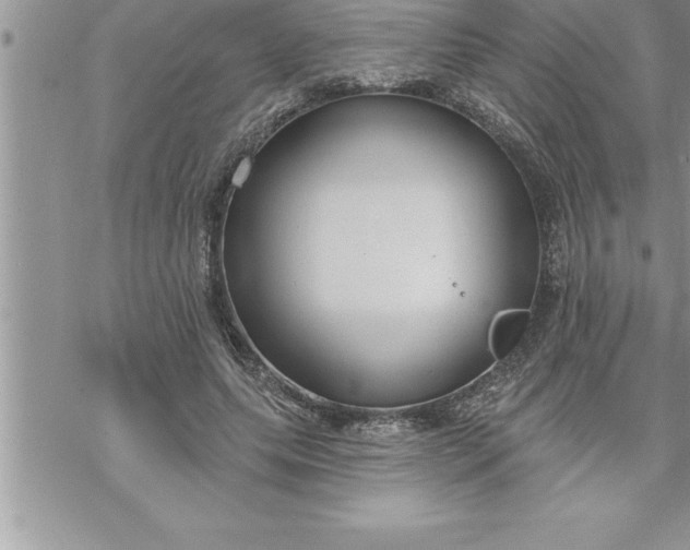 X0000069840639200606021402