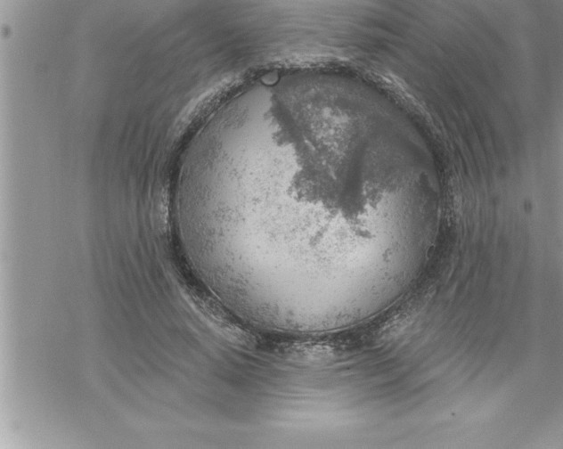 X0000069840640200606021402