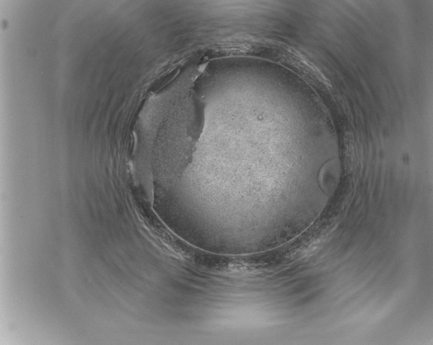 X0000069840641200606021402