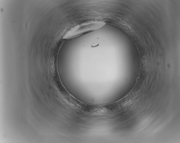 X0000069840642200606021402