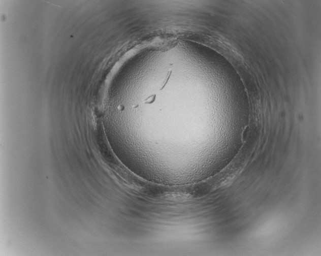 X0000069840644200606021402