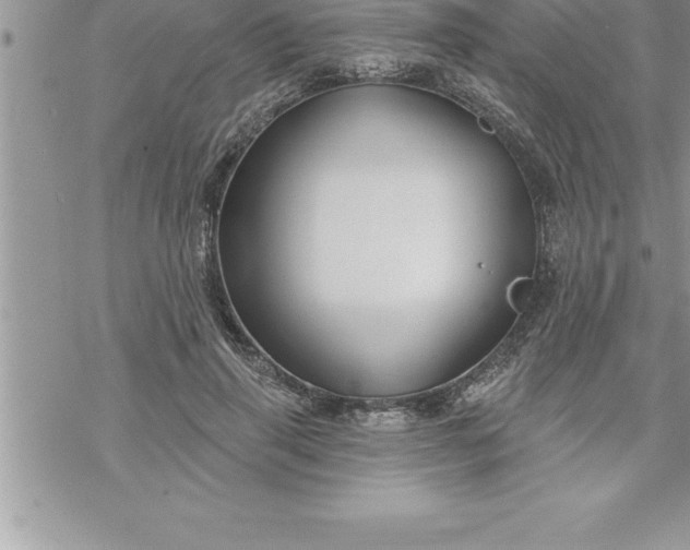 X0000069840645200606021402