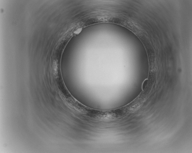 X0000069840646200606021402