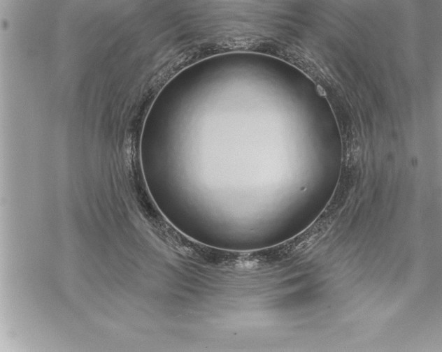 X0000069840647200606021402