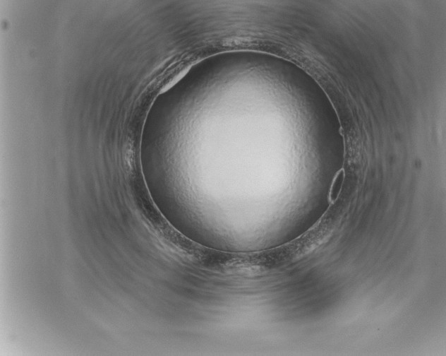 X0000069840648200606021402