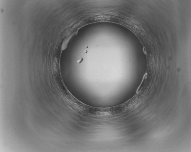 X0000069840649200606021402