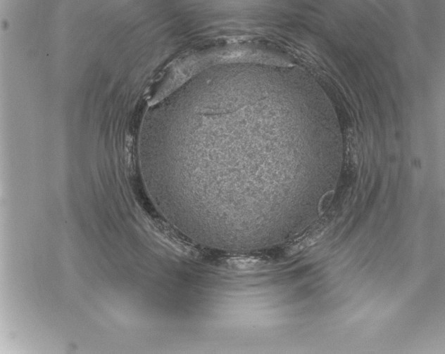 X0000069840650200606021402