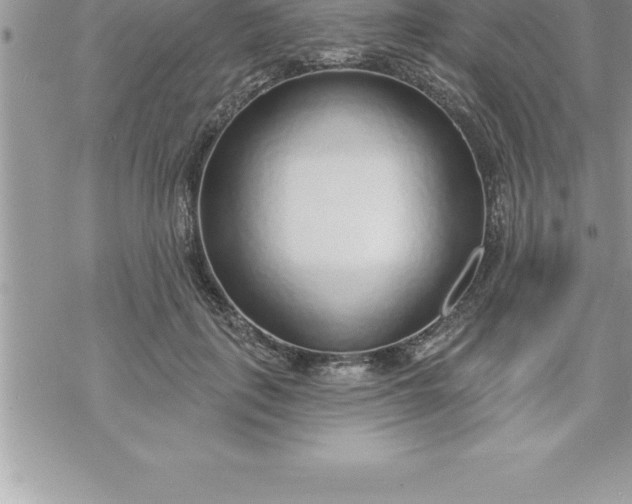 X0000069840651200606021402