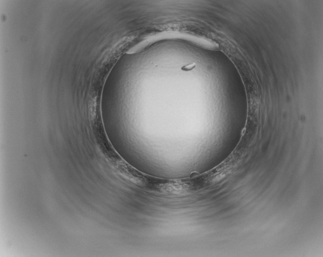 X0000069840652200606021402