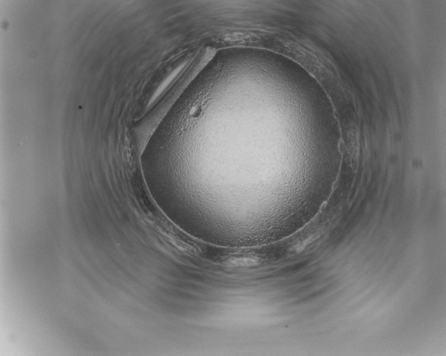 X0000069840653200606021402