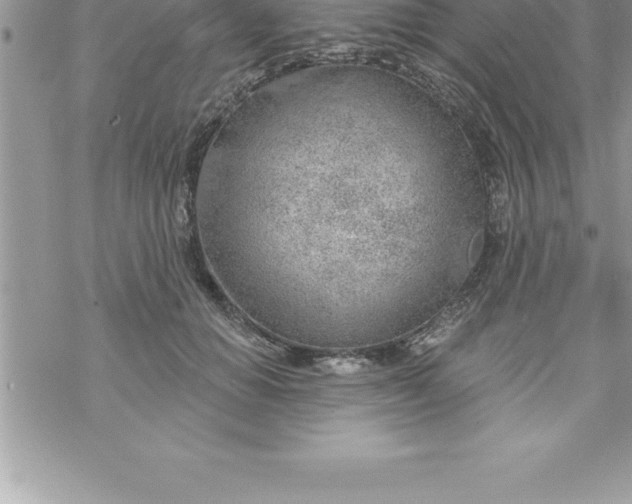 X0000069840654200606021402