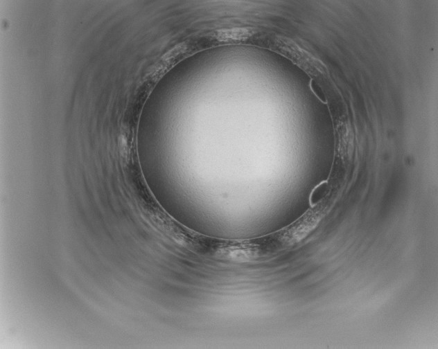 X0000069840655200606021402