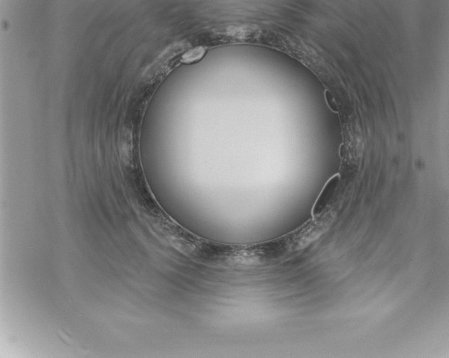 X0000069840656200606021402