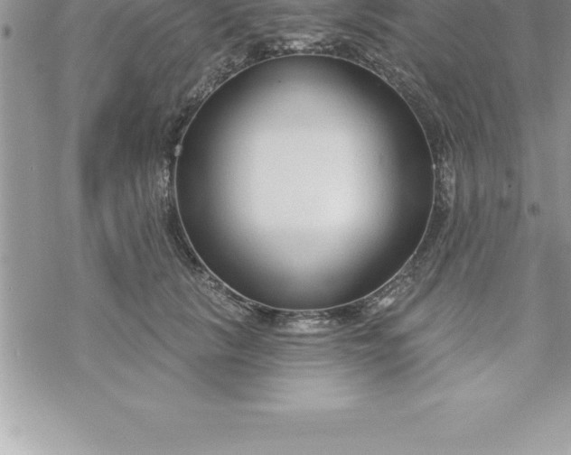 X0000069840657200606021402