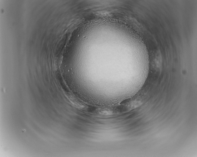 X0000069840658200606021402