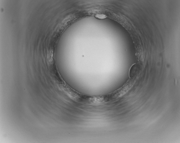 X0000069840660200606021403