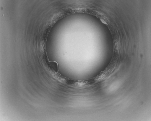 X0000069840662200606021403