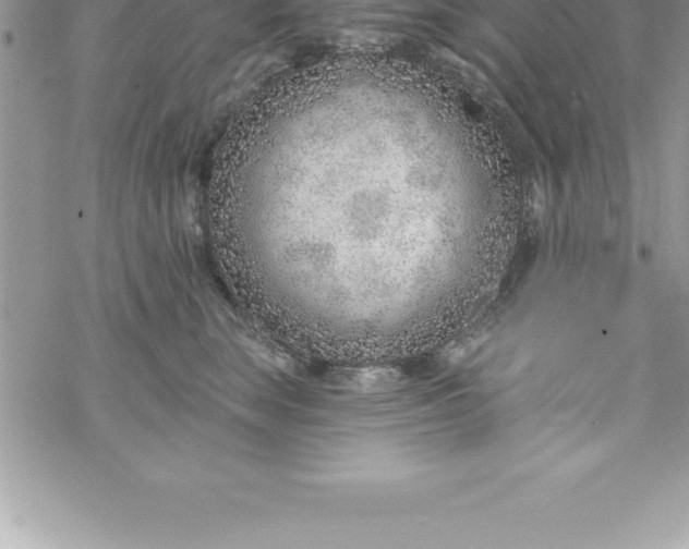 X0000069840663200606021403