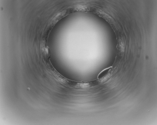 X0000069840665200606021403