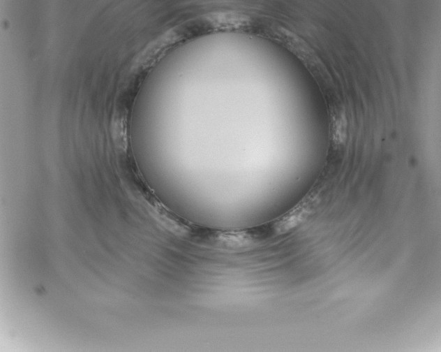 X0000069840666200606021403