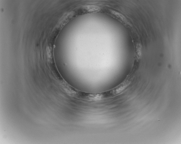 X0000069840667200606021403