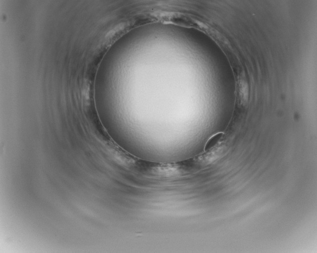 X0000069840668200606021403