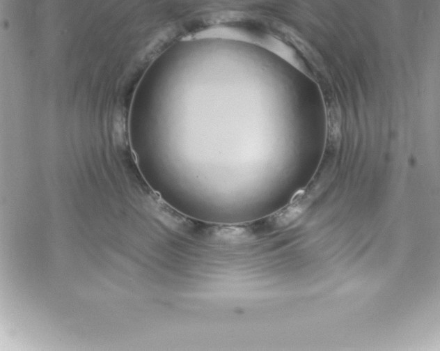 X0000069840669200606021403