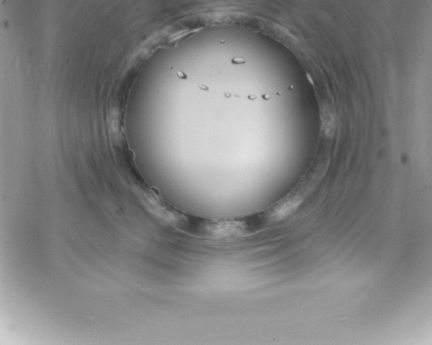 X0000069840670200606021403