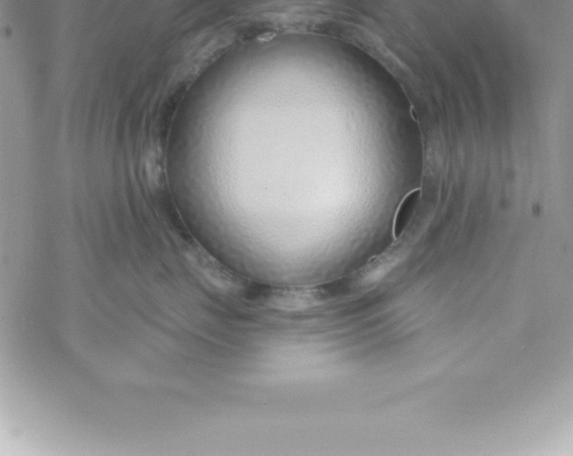 X0000069840671200606021403