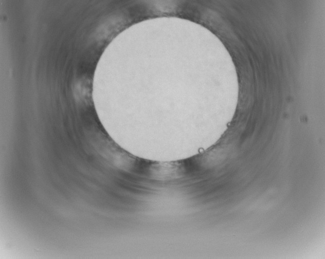 X0000069840672200606021403