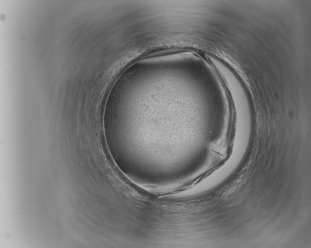 X0000069840673200606021402