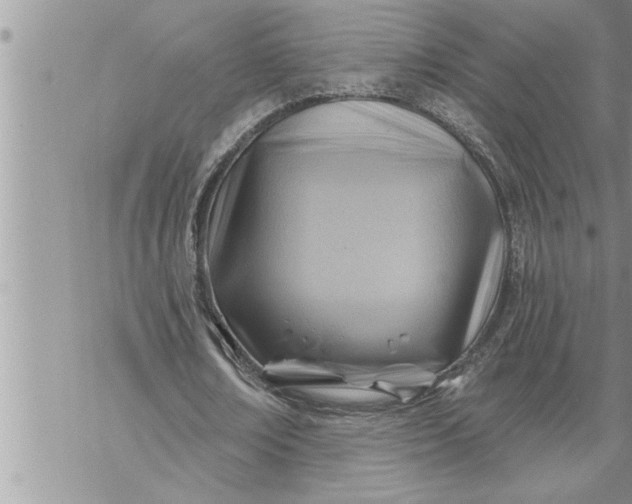 X0000069840674200606021402