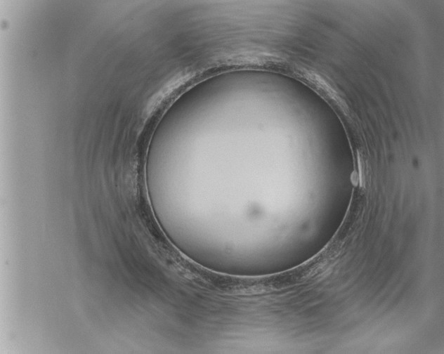 X0000069840675200606021402