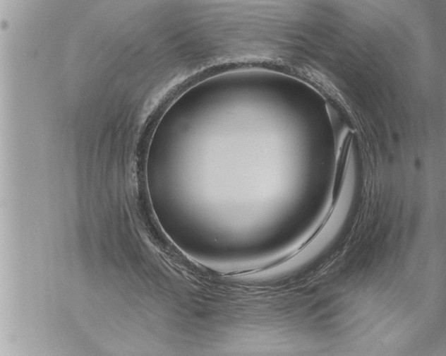 X0000069840676200606021402