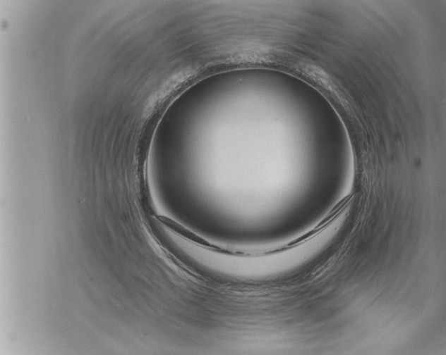 X0000069840677200606021402