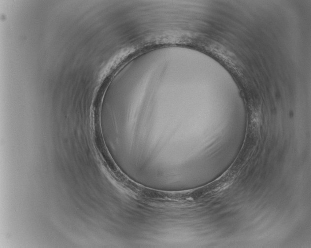 X0000069840678200606021402