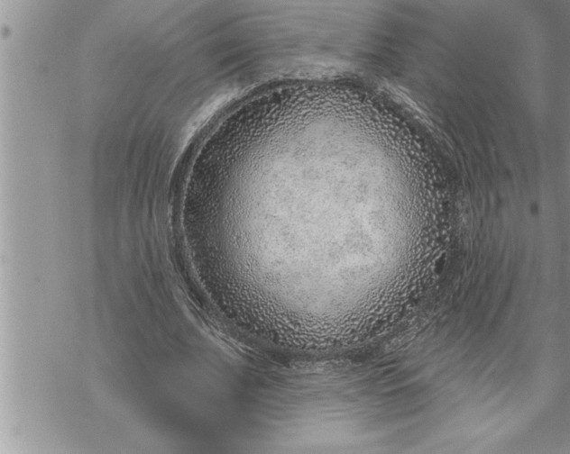 X0000069840679200606021402