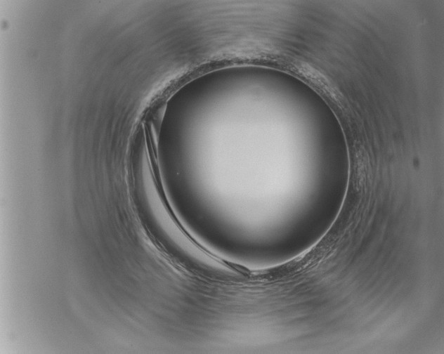 X0000069840680200606021402