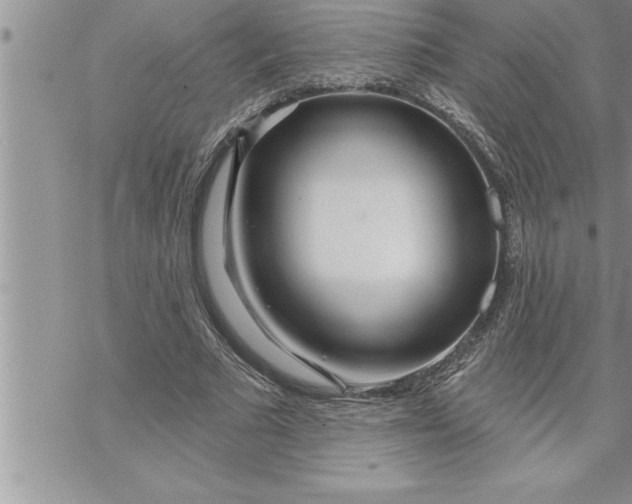 X0000069840681200606021402