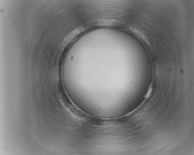 X0000069840682200606021402