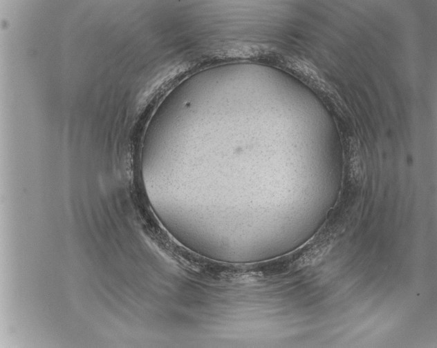 X0000069840683200606021402