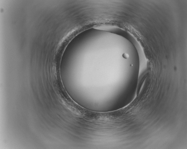 X0000069840684200606021402