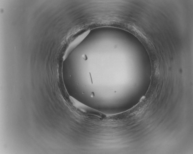 X0000069840685200606021402