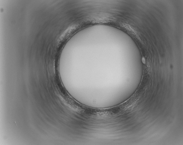 X0000069840686200606021402