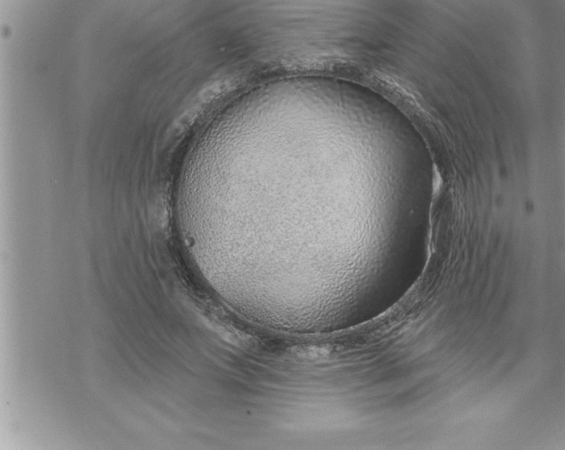 X0000069840687200606021402