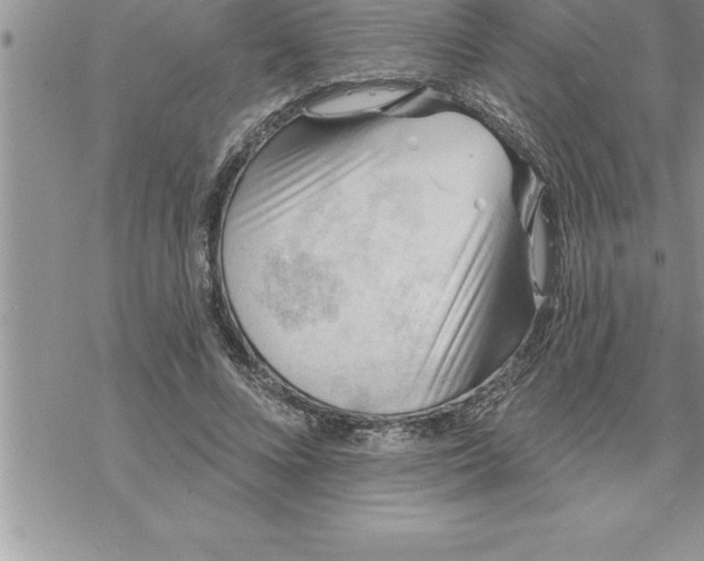 X0000069840688200606021402