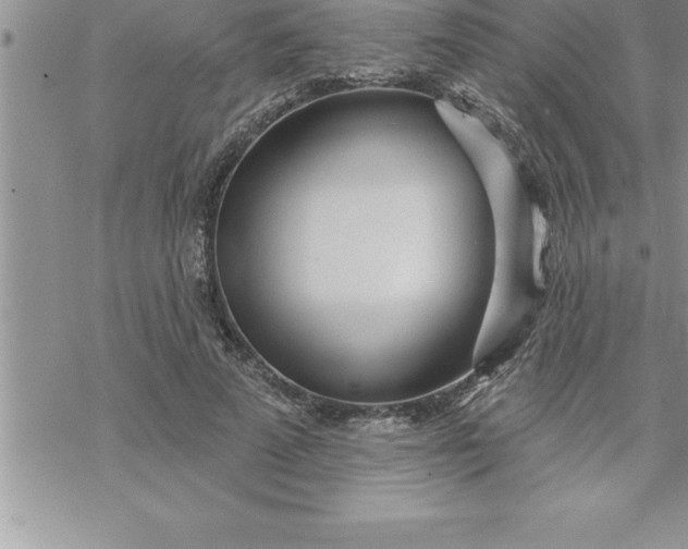 X0000069840689200606021402