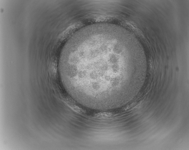 X0000069840691200606021402