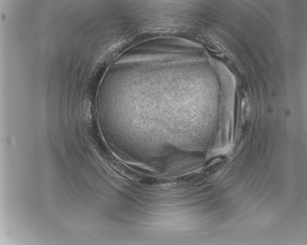 X0000069840692200606021402